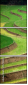 15713254