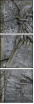 20059102