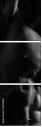 20350082
