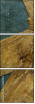 20884913