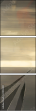 21155951