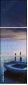 21172398