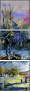 21414524