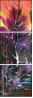 21415554