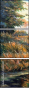 21443307