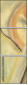 21450824