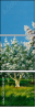 21587802