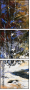 21655913