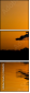 2165695