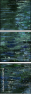 21687116