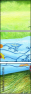 21927318