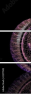 22171142