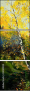 24149025