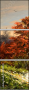 24149531