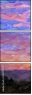 244702406