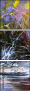 25160586