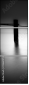 25660974