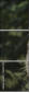 26122223