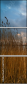 26174733