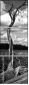 26523822