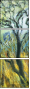 26973038