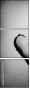 2713254