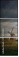 27403558