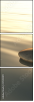 27492911