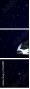 27649891