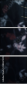 28267409