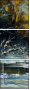 29135595
