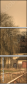29517510