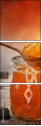29808435