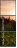 30337754