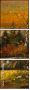 30493297