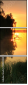 30509189
