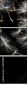 30521892