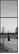 3095136