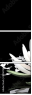 31116780