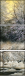 31192529