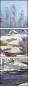 31220669