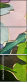31753034