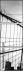 319353344
