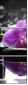32225691