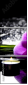 32250117