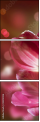32312026