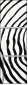 324703304