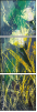 32753014
