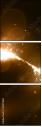 33007658