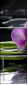 34084516